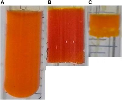 Ethnomedicinal, Phytochemical and Pharmacological Investigations of Tetradenia riparia (Hochst.) Codd (Lamiaceae)